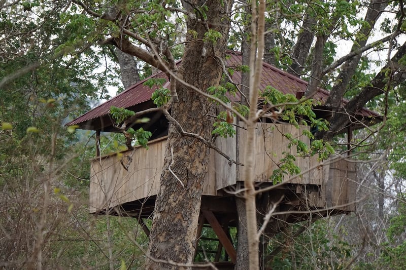 Deluxe Treehouse